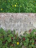 image of grave number 217728